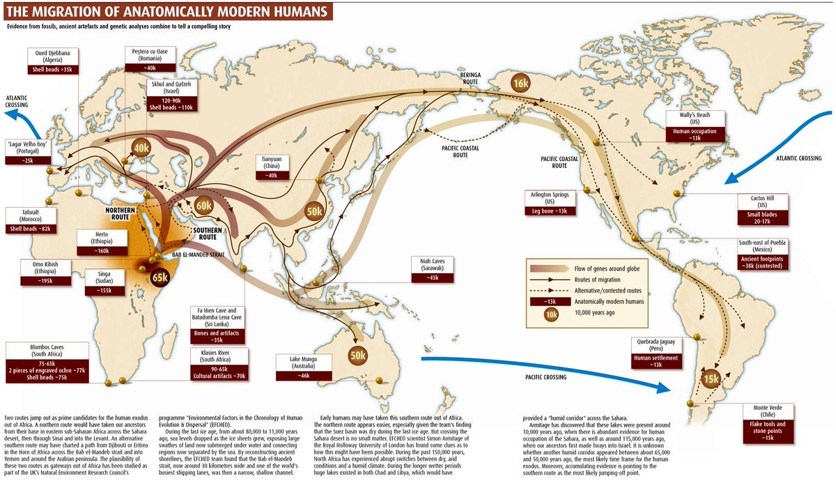 上图:科学家提出的人类走出非洲的迁徙路线。21世纪的遗传学家们通过研究线粒体DNA发现,全世界的人类基因都遗传自非洲的同一位原始母亲,并把这位母亲命名为「线粒体夏娃 Mitochondrial Eve」。